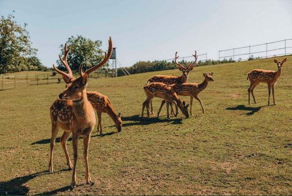 Stodola Pod Lípou - exteriér